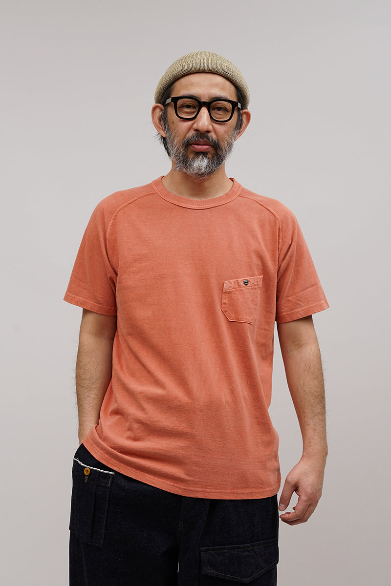 スライド画像