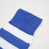 ACC66-70 STRIPE SOCKS