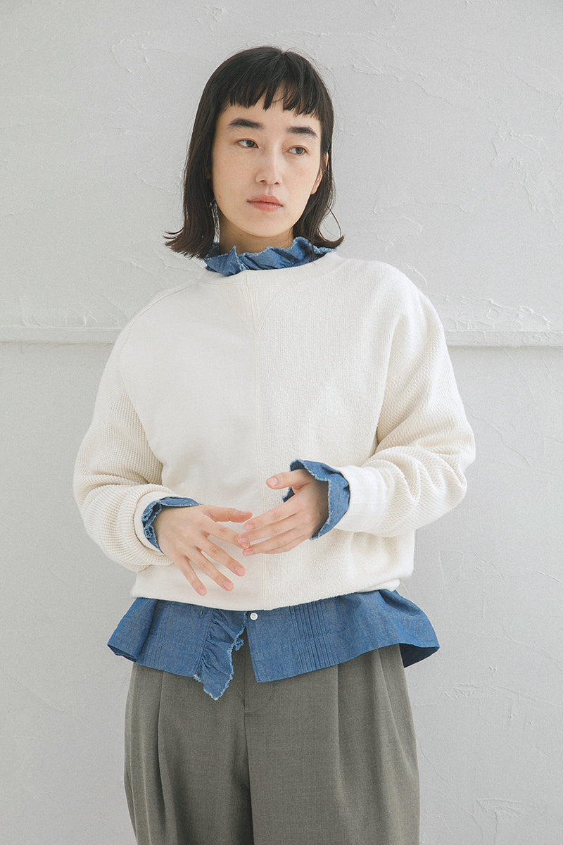 スライド画像