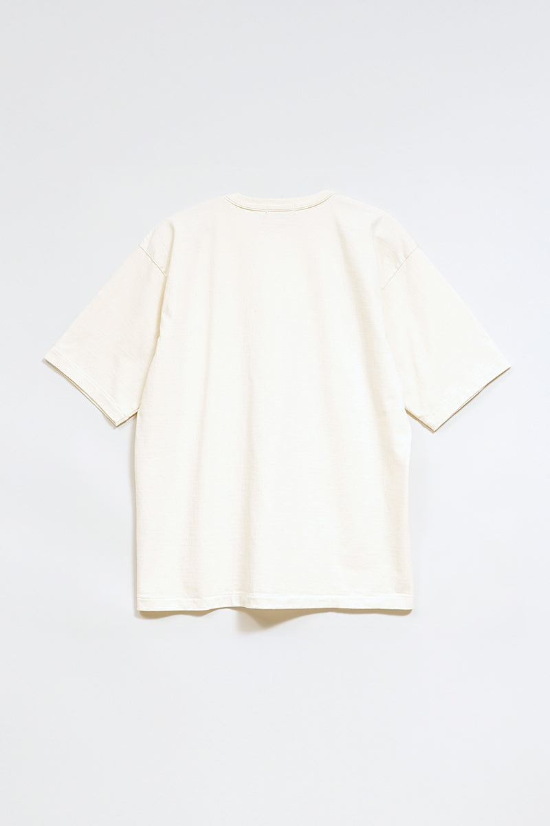 スライド画像