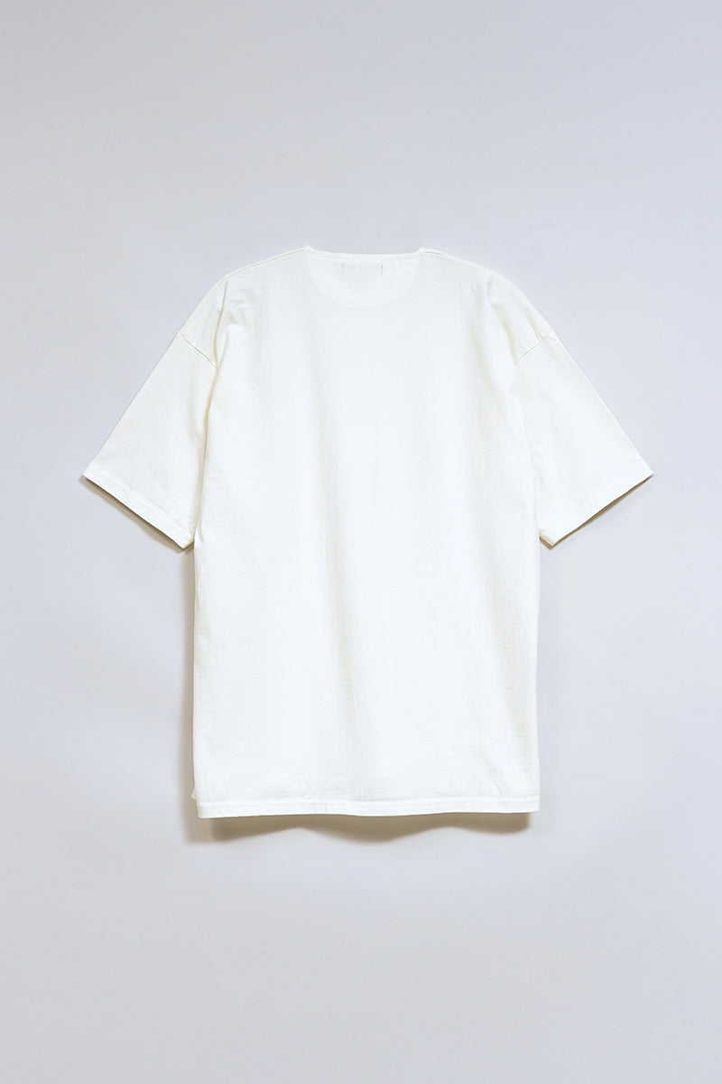 スライド画像