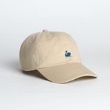 CAP01