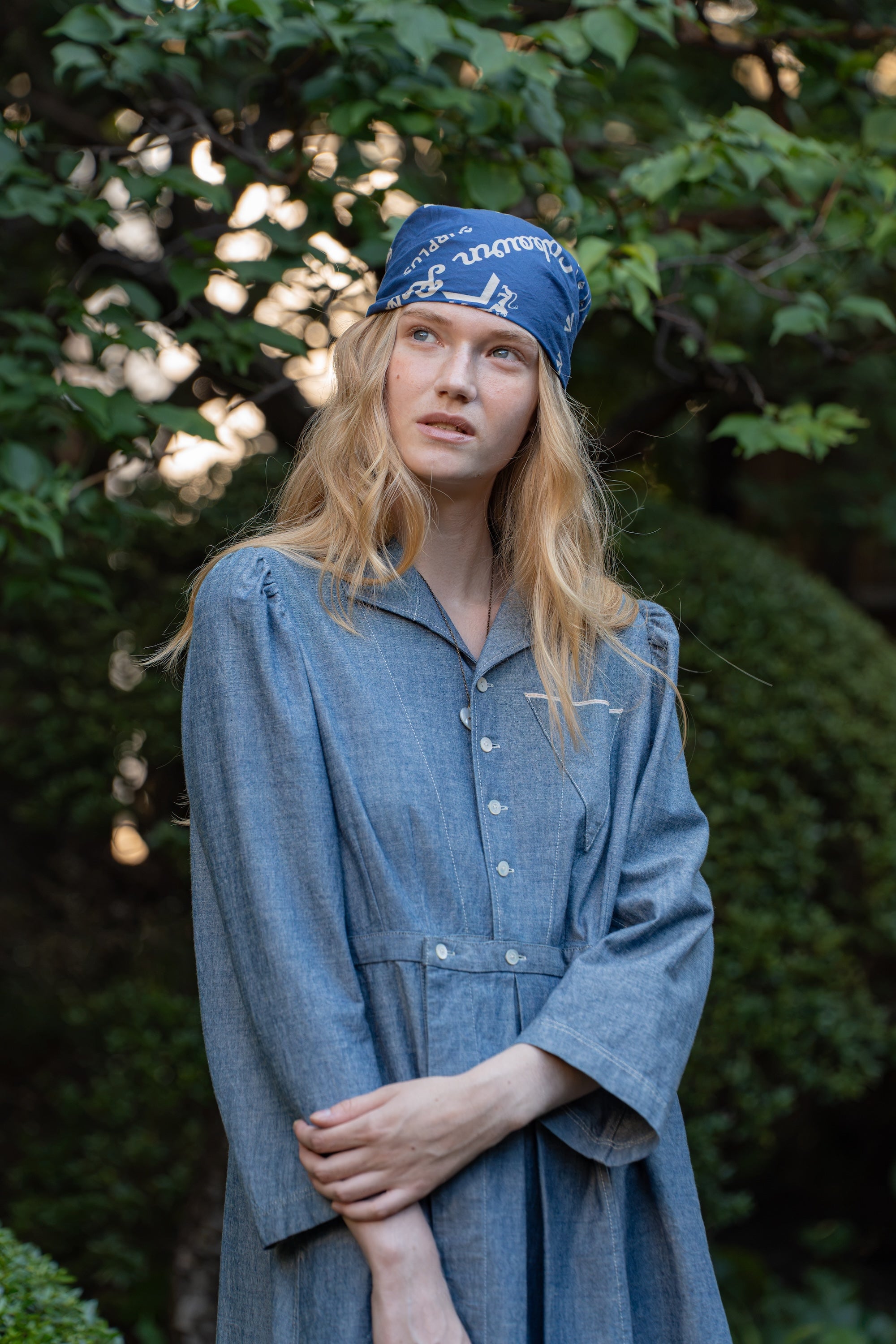 スライド画像