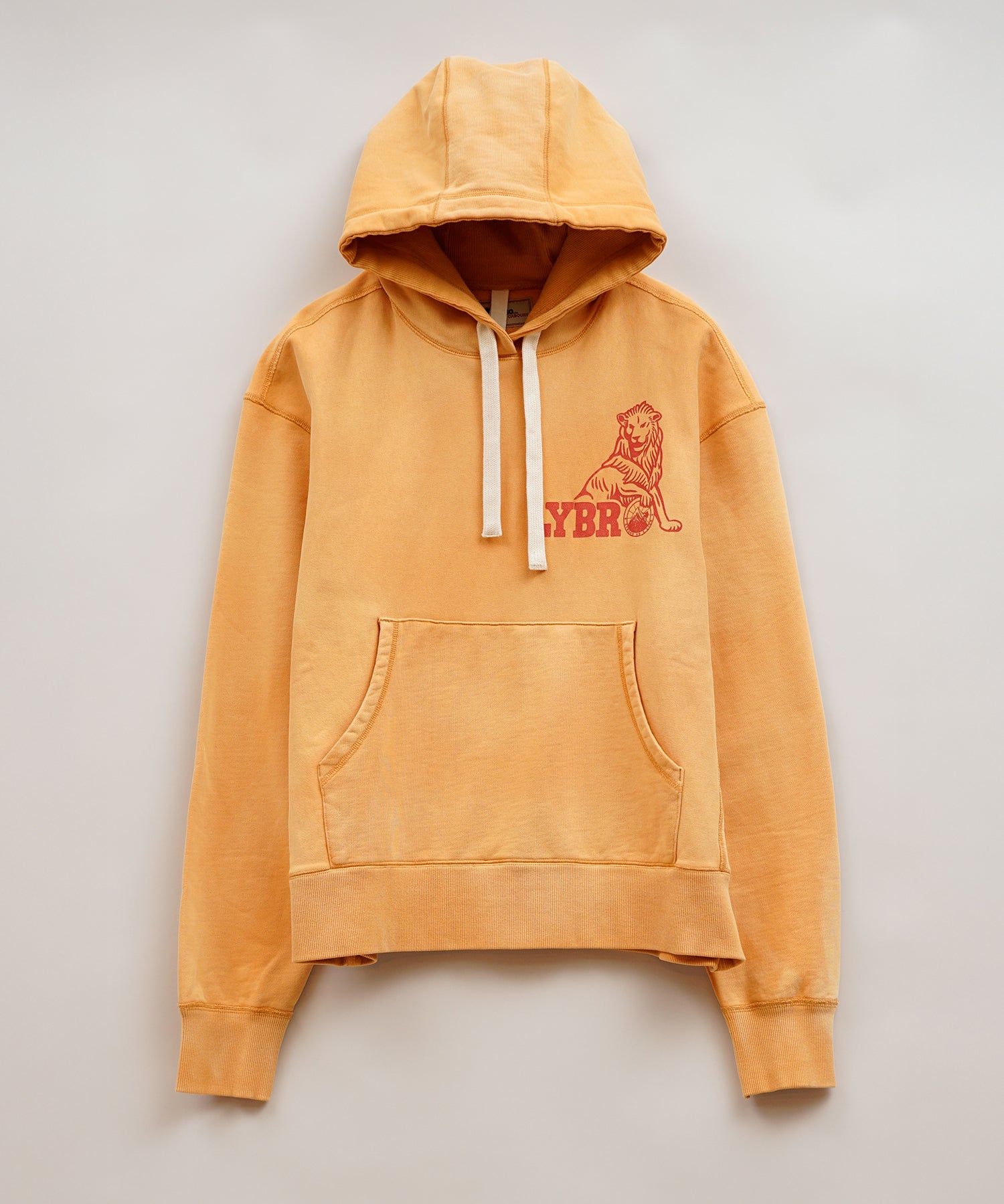 S02A STANDARD HOODIE